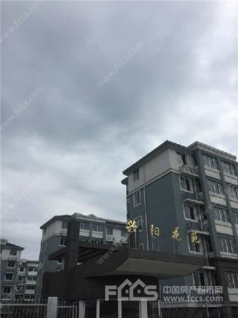 兴阳花苑全新房低价出售满2年 平湖房产超市