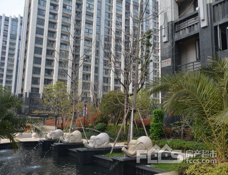 得力浅水湾